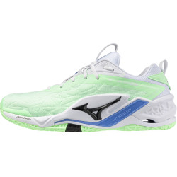 mizuno wave stealth neo 2...