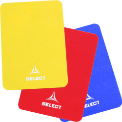 cartons arbitre handball...